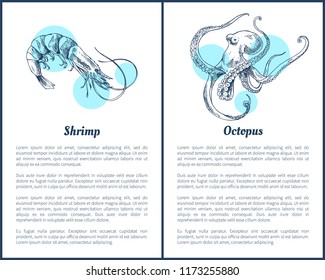 Shrimp and octopus seafood vector illustration. Decorative icon of ocean animals isolated on white with blue spots restaurant menu vintage template