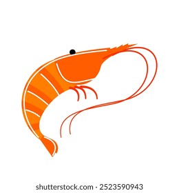 The shrimp on isolated background.