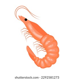 Shrimp on a white background, seafood. Illustration, menu icon, vector