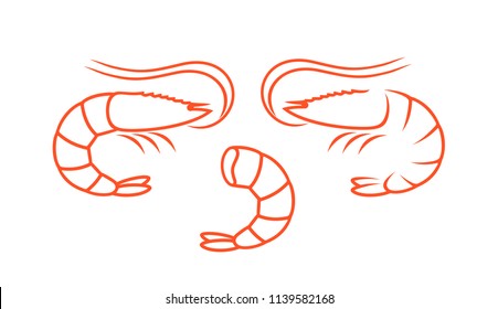 Shrimp Outline. Isolated Shrimp On White Background. Prawns Outline


