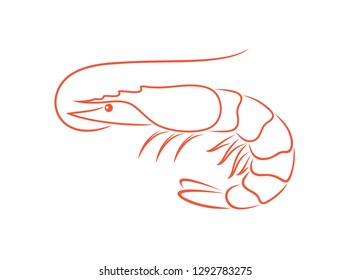 Shrimp Outline. Isolated Shrimp On White Background. Prawns Outline
