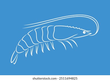 Shrimp outline. Isolated shrimp on white background. Prawns outline