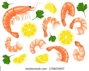 Shrimp, parsley, lemon drawing on a white background. Shrimp prawn icons set. Collection shrimp, shrimp without shell, meat, sushi. Realistic vector illustration