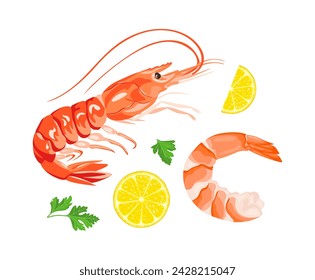 Shrimp, parsley and lemon slice isolated on white. Set of vector cartoon illustration.