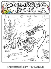 Shrimp - Prawn - Coloring Book Pages - SEA ANIMALS COLLECTION - Page No. 2 9