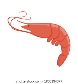 Shrimp or prawn in flat design vector icon