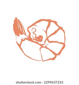 Ilustración vectorial de gambas (gamba) dibujada a mano. Dibujo artístico de la línea de comida marina. Buena decoración de empaque, de menú o de etiqueta.