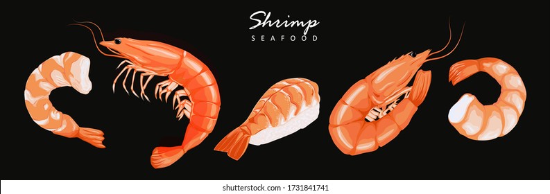 Shrimp prawn icons set. Boiled Shrimp drawing on a black background. Collection shrimp, shrimp without shell, meat, sushi. Realistic vector illustration