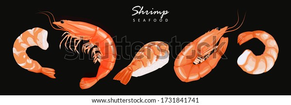 Shrimp prawn icons set. Boiled Shrimp
drawing on a black background. Collection shrimp, shrimp without
shell, meat, sushi. Realistic vector
illustration