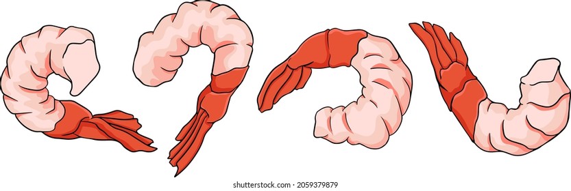 Shrimp, prawn icons set. Collection shrimp, without shell, meat. Realistic vector illustration