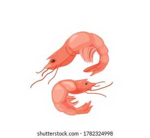 Shrimp prawn seafood in bright color cartoon flat style isolated on white background. Healthy food vector illustration. Organic meal concept.