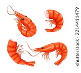 Shrimp and prawn set vector illustration. Cartoon isolated whole sea or ocean crustacean animal, headless or with head, tail and shell, gourmet healthy food ingredient from seafood restaurant menu