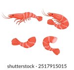 Shrimp and prawn set vector illustration. Cartoon isolated whole sea or ocean crustacean animal, headless or with head, tail and shell, gourmet healthy food ingredient from seafood restaurant menu