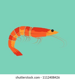 Shrimp Prawn Vector and Icon for Logo and App