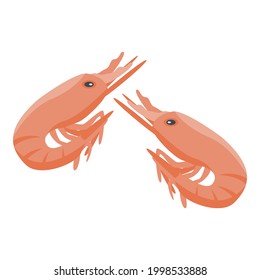 Shrimp protein icon. Isometric of Shrimp protein vector icon for web design isolated on white background