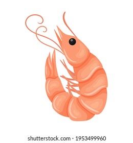 The shrimp is raw and fresh. Marine and river crustacean animals. Food ingredient, delicacy. Flat cartoon vector illustration isolated on a white background.