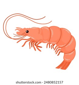 Shrimp, raw fresh seafood. Whole prawn with antennae, head, eyes, legs and tail. Sea food drawn in doodle style. Flat vector illustration isolated on white background