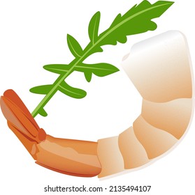 Shrimp with rucolla vector isolated illustartion for design