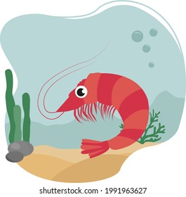 Shrimp sea animal in the ocean . Sea food