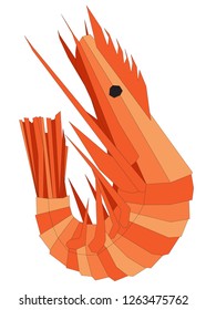 shrimp sea ocean