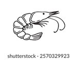 Shrimp seafood element doodle hand drawn icon. Outline drawing line clipart symbol. Vector illustration