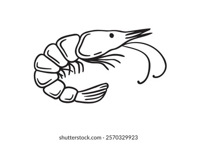 Shrimp seafood element doodle hand drawn icon. Outline drawing line clipart symbol. Vector illustration