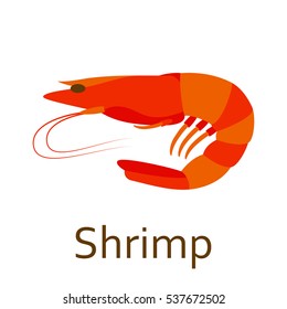 Shrimp. Seafood flat icon. Vector illustration.