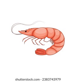 camarón, mariscos, ícono, rosa, vector, crustáceo, aislado, ilustración, ingrediente, océano, carne, moluscos, soltero, submarino, gráfico, garra, restaurante, pescado, menú, producto, cola, logotipo, fauna silvestre