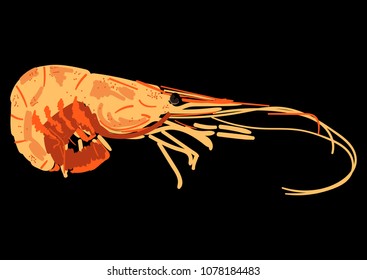 shrimp seafood menu design background