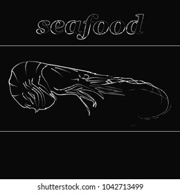 Shrimp. Seafood menu design with chalkboard texture. vector illustration.