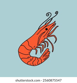Shrimp. Seafood shop logo, sign board, restaurant menu, fish market, banner, poster design template.  Flat design