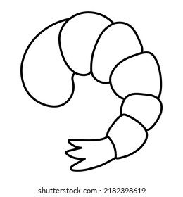 Shrimp. Seafood. Sketch. Vector illustration. Shrimp tail. Outline on isolated background. Doodle style. 