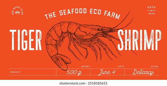 Shrimp, seafood, sketch. Vintage retro print, seafood shrimp prawn sketch, sea life, ink pencil style drawing, engrave old school sketch, hand drawn. Sketch artwork shrimp. Vector Illustration