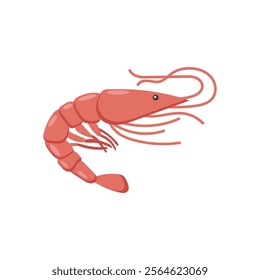 Shrimp Seafood Vector Illustration, Isolated