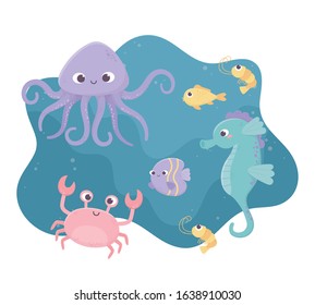 shrimp seahorse crab fishes octopus life cartoon under the sea vector illustration