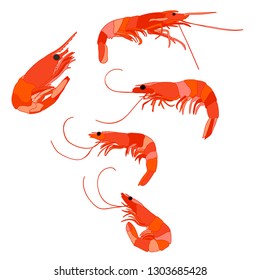shrimp, set, food