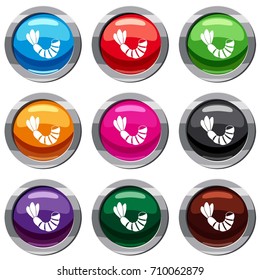 Shrimp set icon isolated on white. 9 icon collection vector illustration