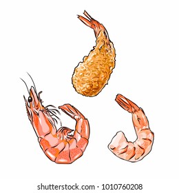 Shrimp in shell, without shell and fried. Vector illustration isolated