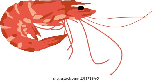 shrimp side view digital drawing vector illustration with nice vivid colours red pink orange