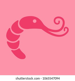 Shrimp silhouette. Isolated shrimp on background