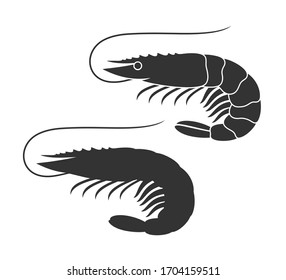 Shrimp silhouette. Isolated shrimp on white background