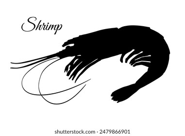 Shrimp silhouette isolated on white background. Sea animal.