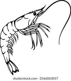 Shrimp silhouette, Prawn cut-out vector icon black and white