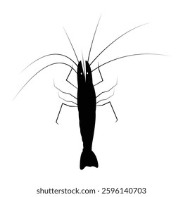  Shrimp silhouette, Prawn cut-out vector icon ,logo illustration black and white