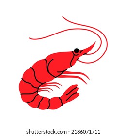 Shrimp silhouette. Shrimp prawn hand drawn illustration. Fresh prawn seafood icon