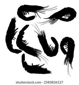 Shrimp silhouette set. Collection of black prawns. Vector illustration isolated on a white background.