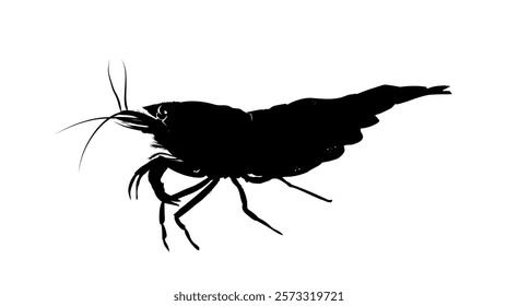 shrimp silhouette, side view - vector illustration	