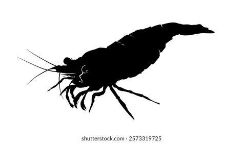 shrimp silhouette, side view - vector illustration	