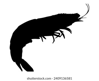 Shrimp-Silhouette, Vektorgrafik, weißer Hintergrund