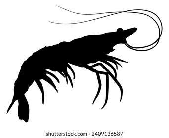 Shrimp-Silhouette, Vektorgrafik, weißer Hintergrund